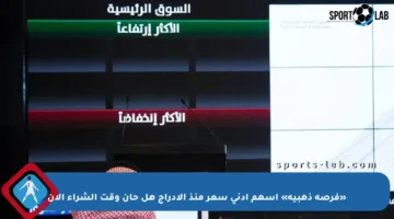 «فرصة ذهبية» أسهم أدنى سعر منذ الإدراج هل حان وقت الشراء الآن